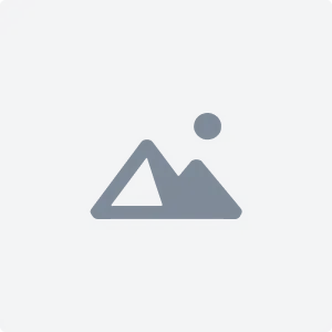 الفئة